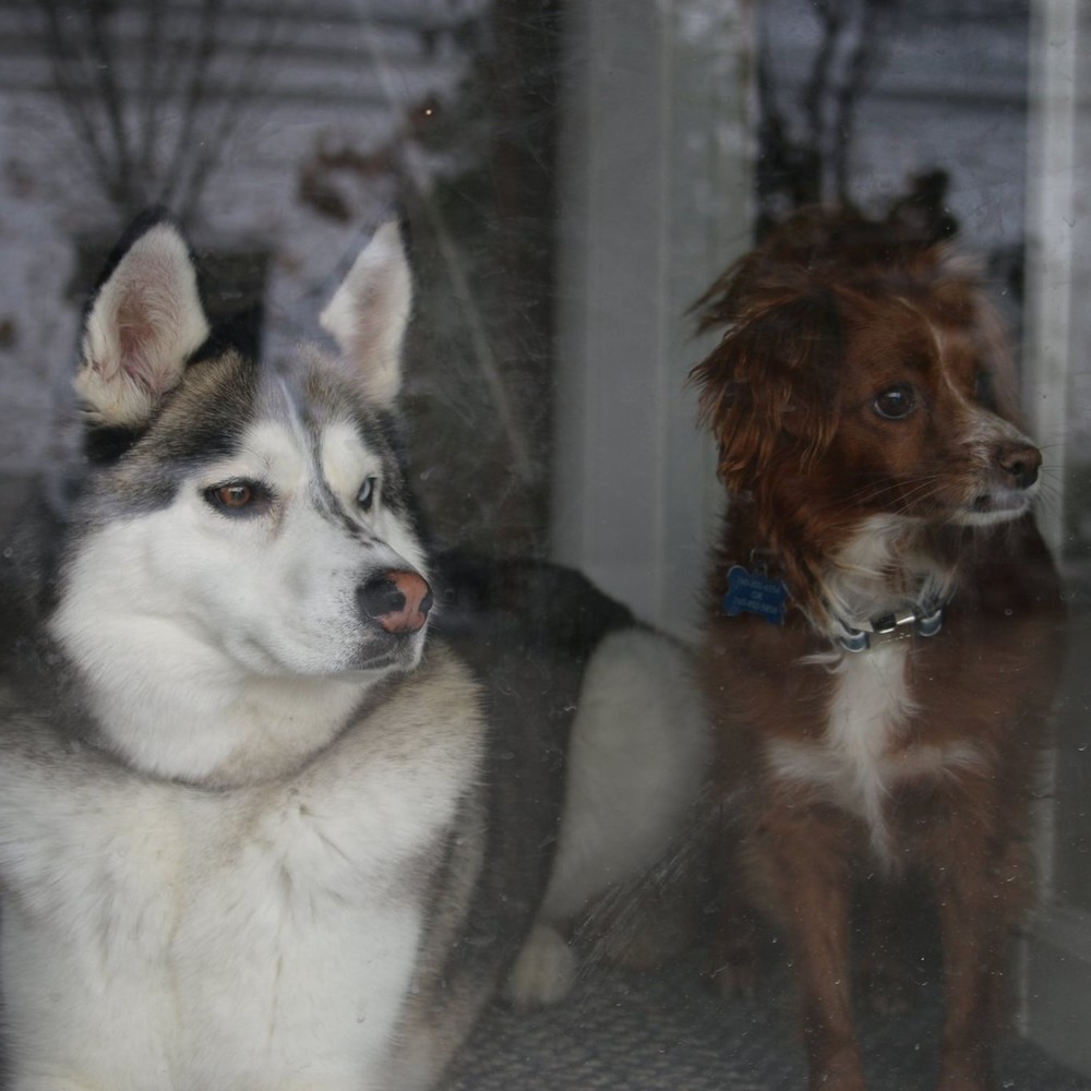 Meet your Posher, April